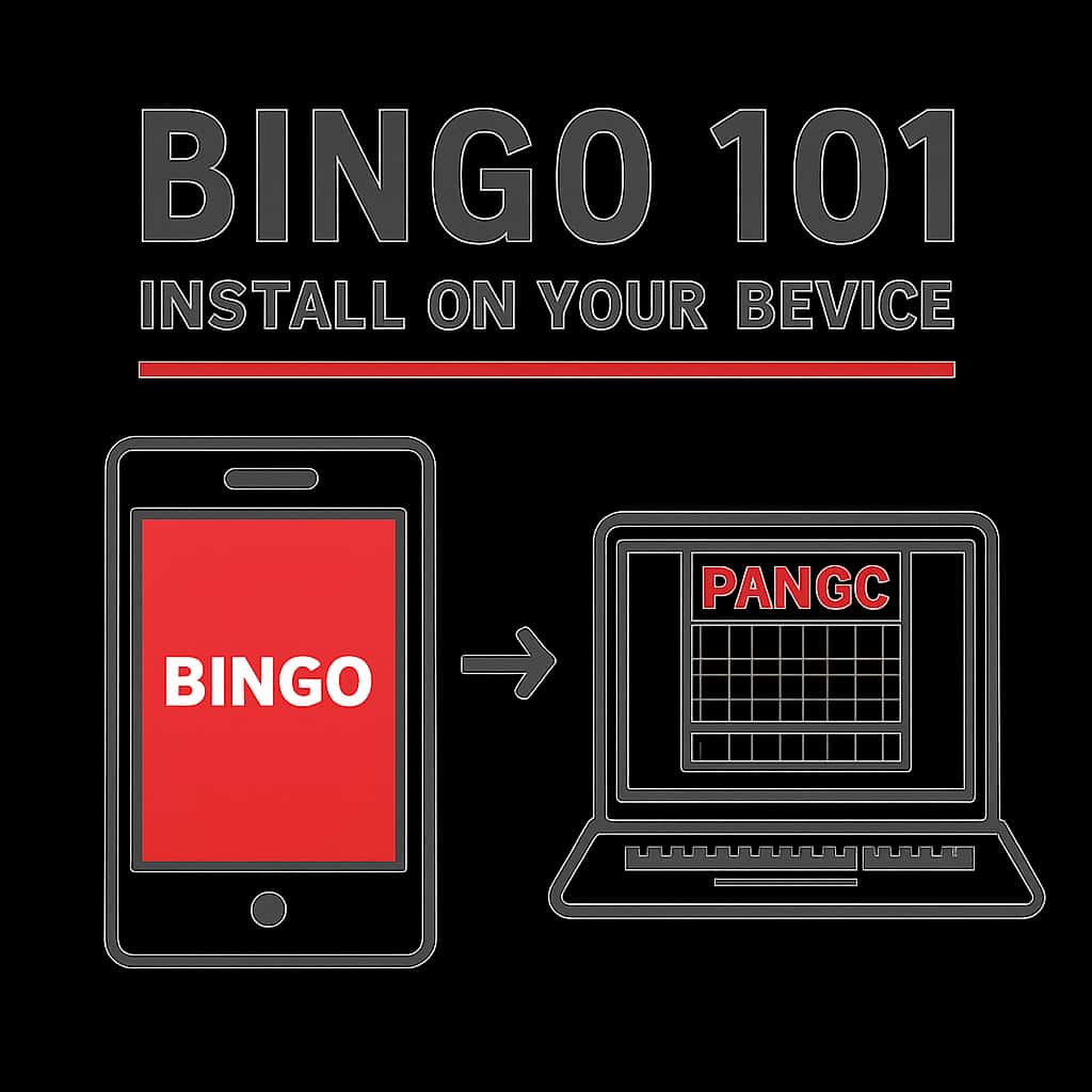 An educational illustration detailing the installation steps for Bingo 101.